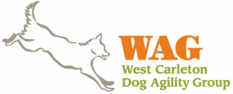 WAG Dog Agility